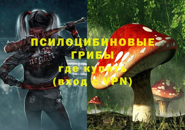 ешки Верхний Тагил